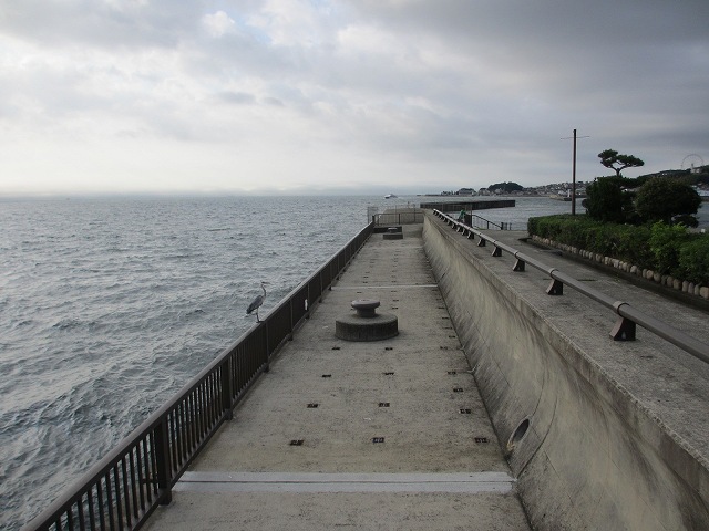 明石海峡大橋下周辺の海釣りポイント
